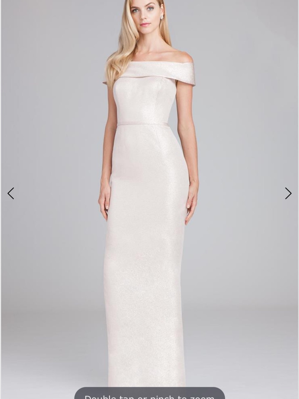 Terri Jon Mother of the Bride Blush Evening Gown